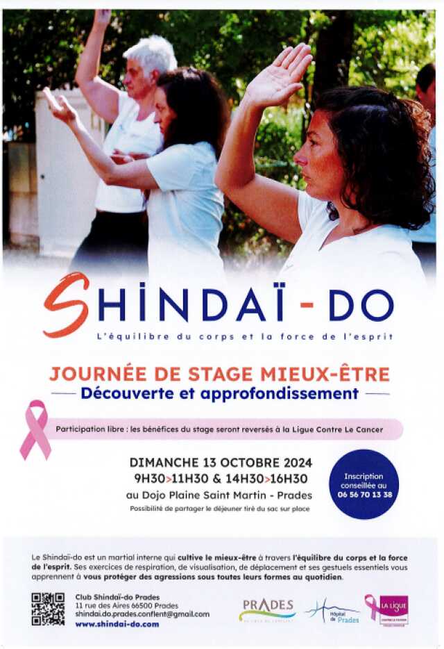 SHINDAÏ-DO, JOURNÉE DE STAGE MIEUX-ÊTRE