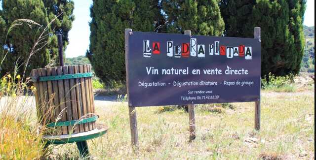 PIQUE-NIQUE À LA VIGNE AU DOMAINE LA PEDRA PINTADA