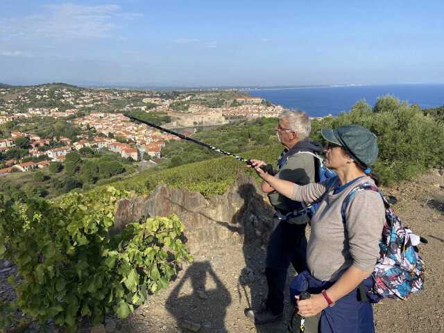 BALADE VINOHRANDO DANS LES VIGNES - OENOTOURISME !