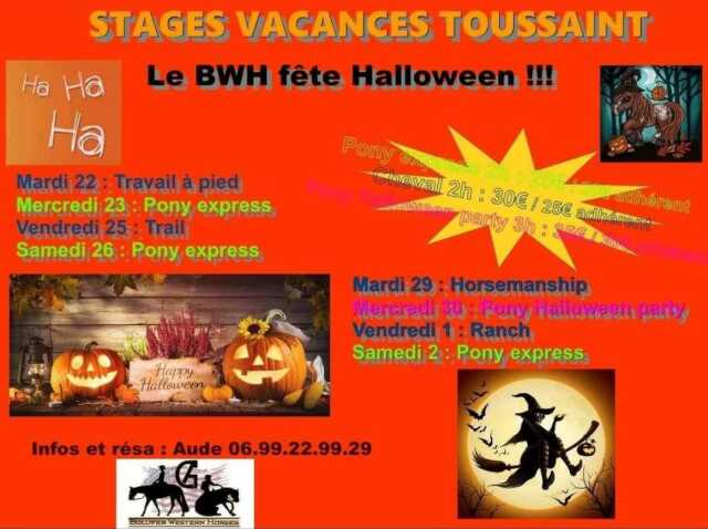 STAGES VACANCES DE LA TOUSSAINT – BOLUFER WESTERN HORSE FÊTE HALLOWEEN