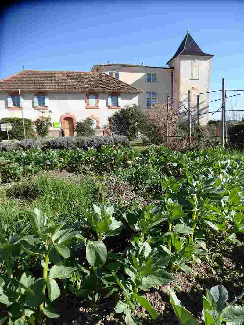 ATELIER INITIATION JARDINAGE BIO