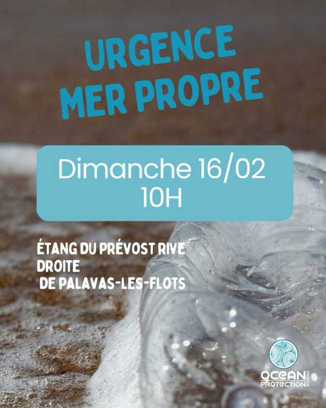 RAMASSAGE ET TRI AVEC OCEAN PROTECTION FRANCE