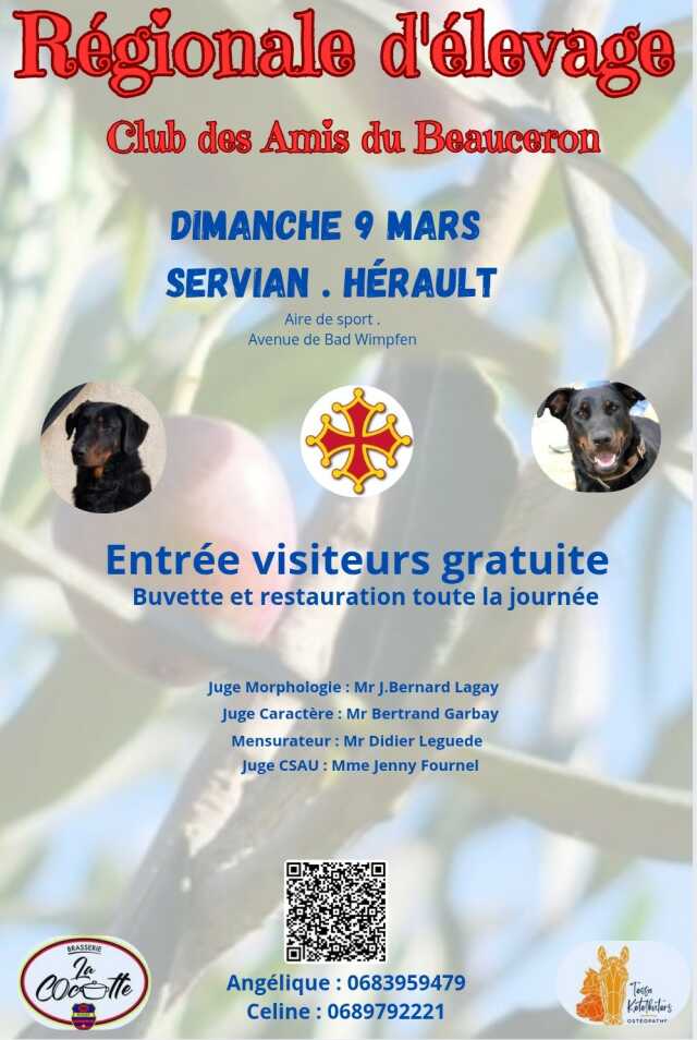 CONCOURS DE CHIENS BEAUCERONS