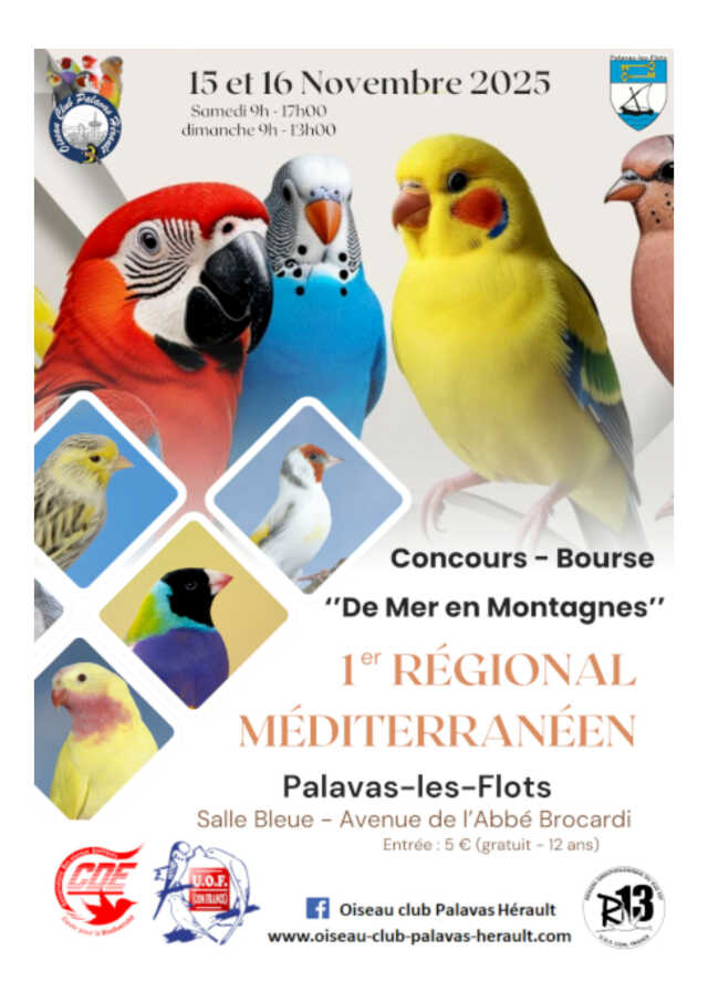 CONCOURS INTERNATIONAL DE L'OISEAU CLUB PALAVAS HÉRAULT