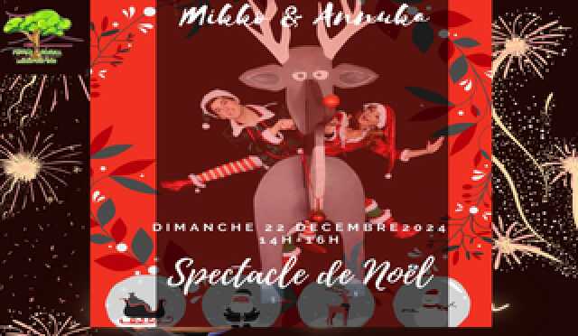 SPECTACLE DE NOËL