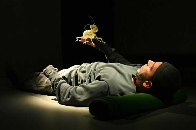 MINIMUS OU LE COLLEMBOLE, UN VIVANT SOUS NOS PAS