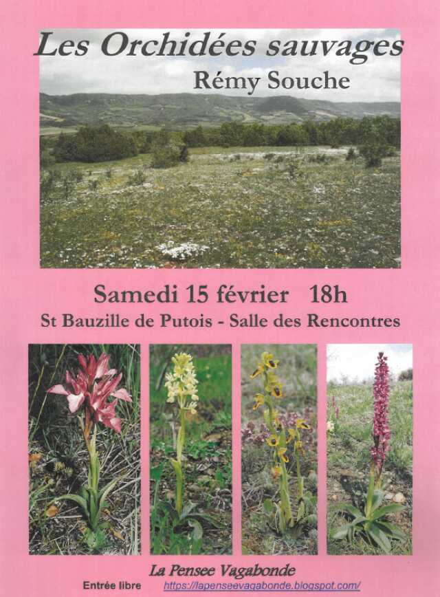 Conférence sur les Orchidées sauvages