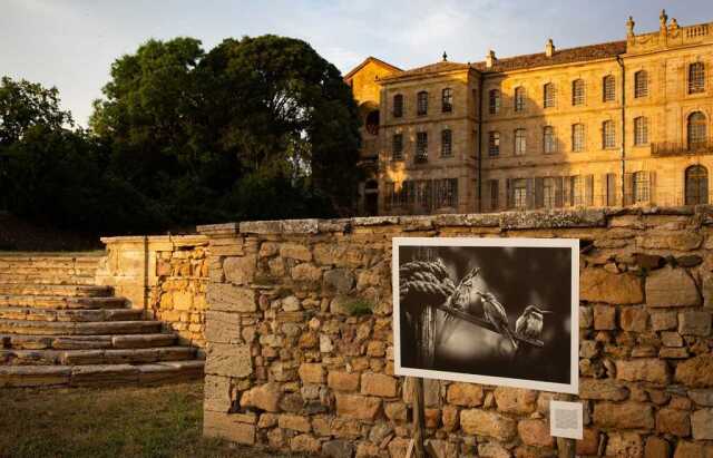 EXPOSITION 