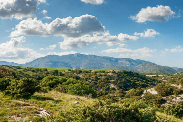 SORTIE :LE TRESOR DE TEJEDOR