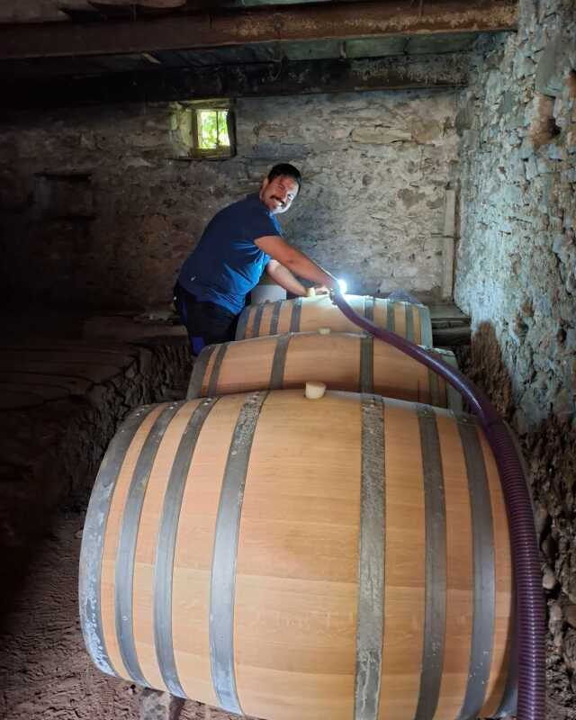DÉCOUVERTE DU MÉTIER DE VIGNERON