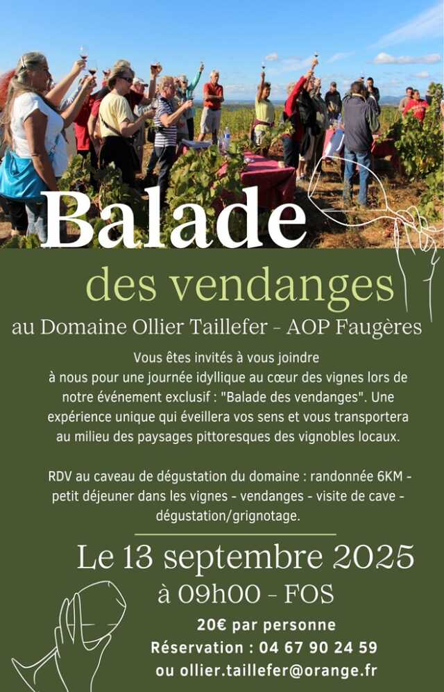 BALADE DES VENDANGES AU DOMAINE OLLIER-TAILLEFER