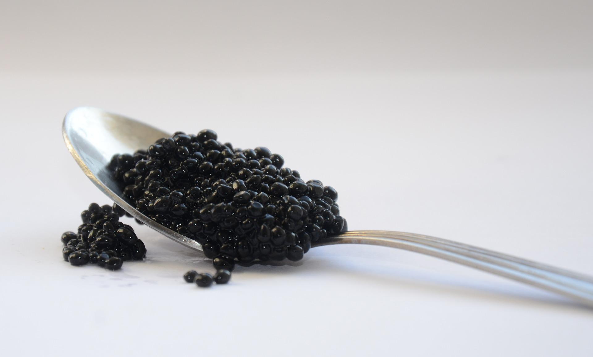 ACCORD VIN ET CAVIAR : L'ART DU GOÛT