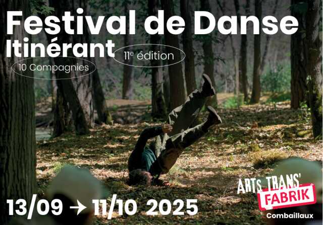FESTIVAL ARTSTRANSFABRIK#11 : WHAT CAN BE SAID ABOUT PIERRE? - VERA MANTERO
