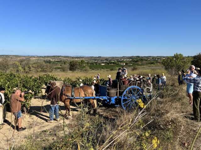 LES VENDANGES À L'ANCIENNE, 26ÈME ÉDITION