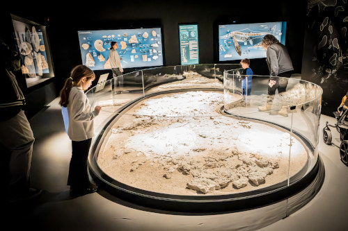 LES INCONTOURNABLES DU MUSÉE DE LODÈVE