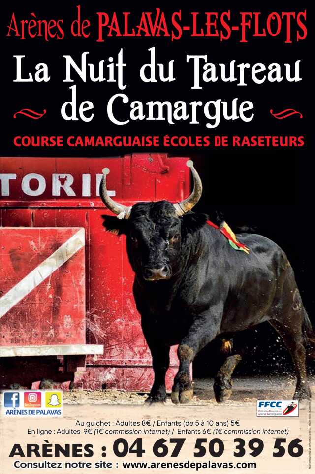 LA NUIT DU TAUREAU DE CAMARGUE