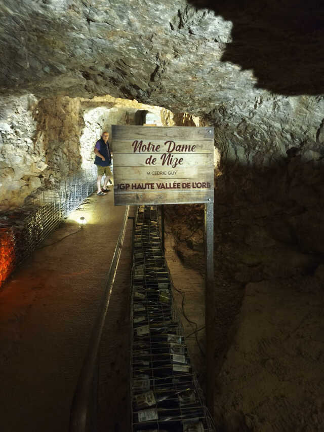 VIN ET PATRIMOINE