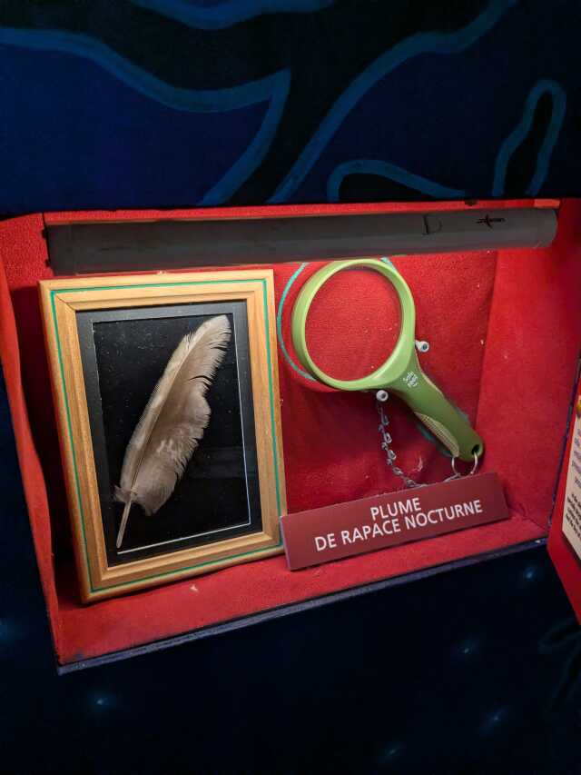 MEDIATION EXPO ENFANTS : LES MERCREDIS DE LA NUIT