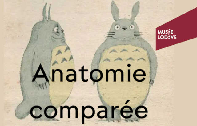 VISITE « FLASH »