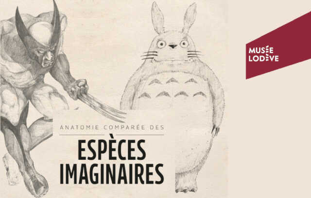 VISITE GUIDÉE 1ER DIMANCHE DU MOIS :  ANATOMIE COMPARÉE DES ESPÈCES IMAGINAIRES