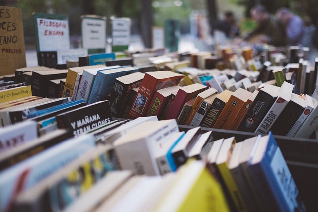 MARCHÉ AUX LIVRES