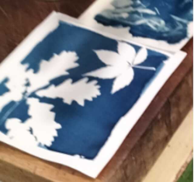 ATELIER CYANOTYPE
