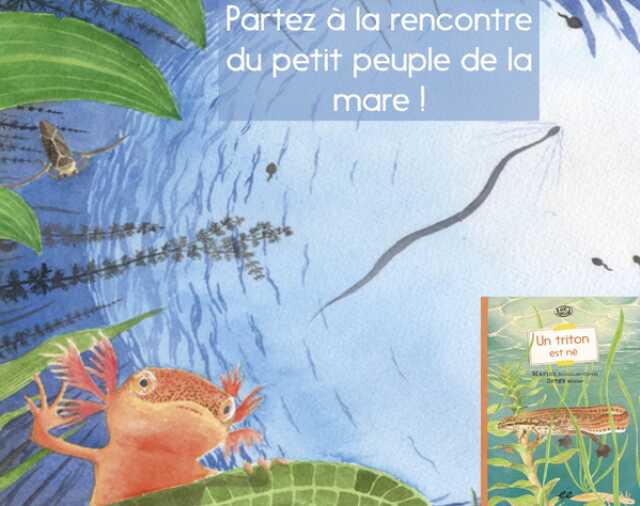 LA MARE ET SON PETIT PEUPLE, EN VICE ET VERSA