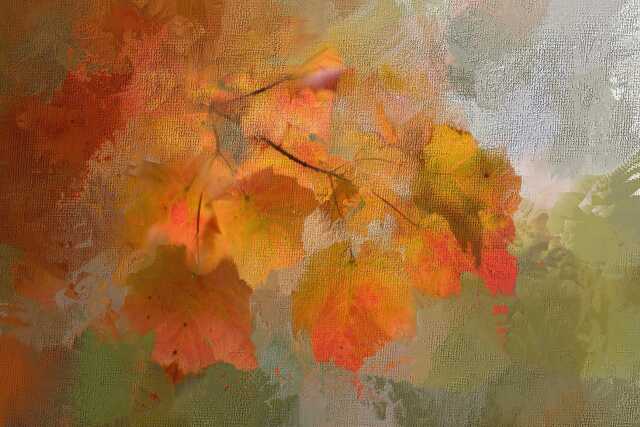 EXPOSITION : ARBRES ET COMPAGNIE