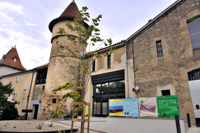 MILLE VŒUX POUR UN SAPIN