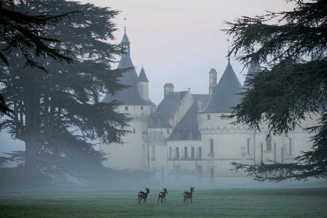 Rêve d'antan - Noël au Domaine de Chaumont-sur-Loire