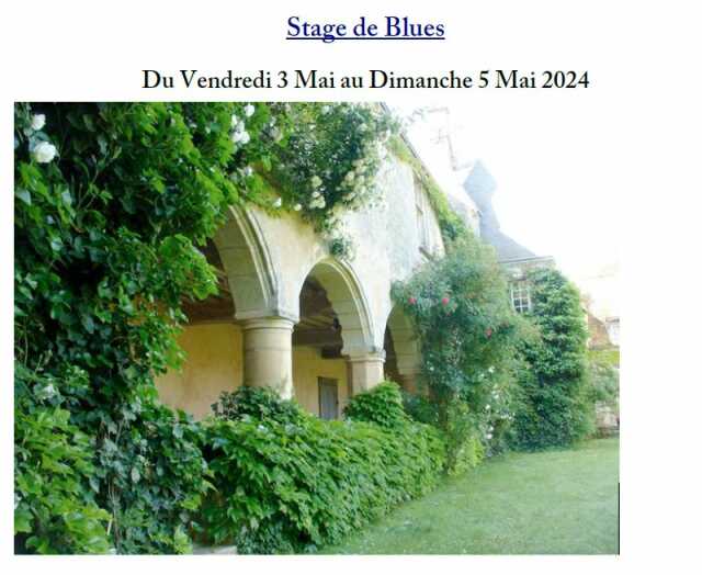 Stage de Blues au Château