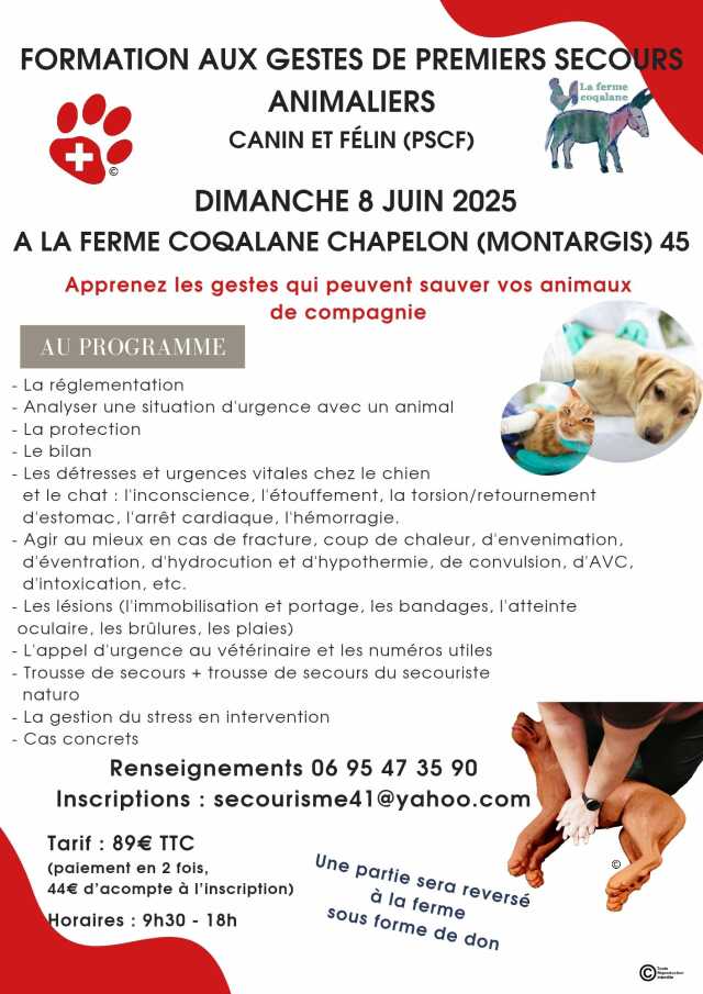 Formation aux gestes de premiers secours animaliers canin & félin