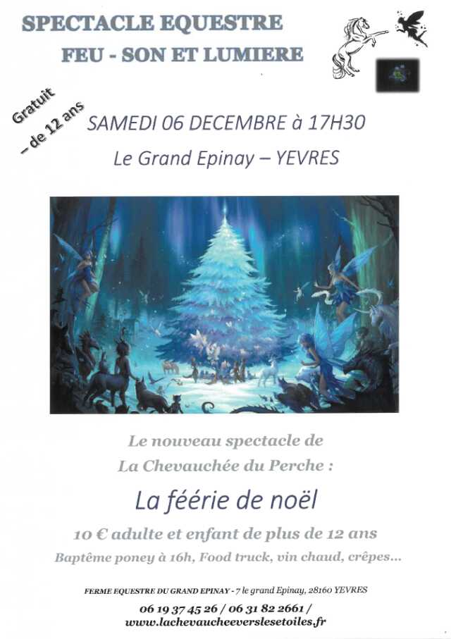 Spectacle équestre, feu, son et lumière - La Féérie de Noël
