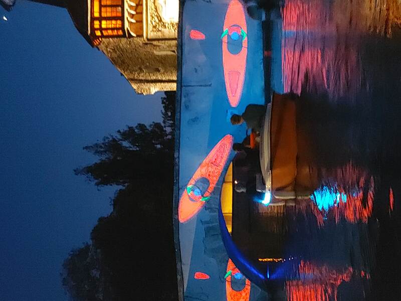 Balade en bateau électrique en nocturne