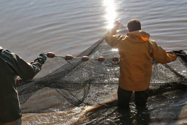 Découverte commentée d'une pêche d'étang