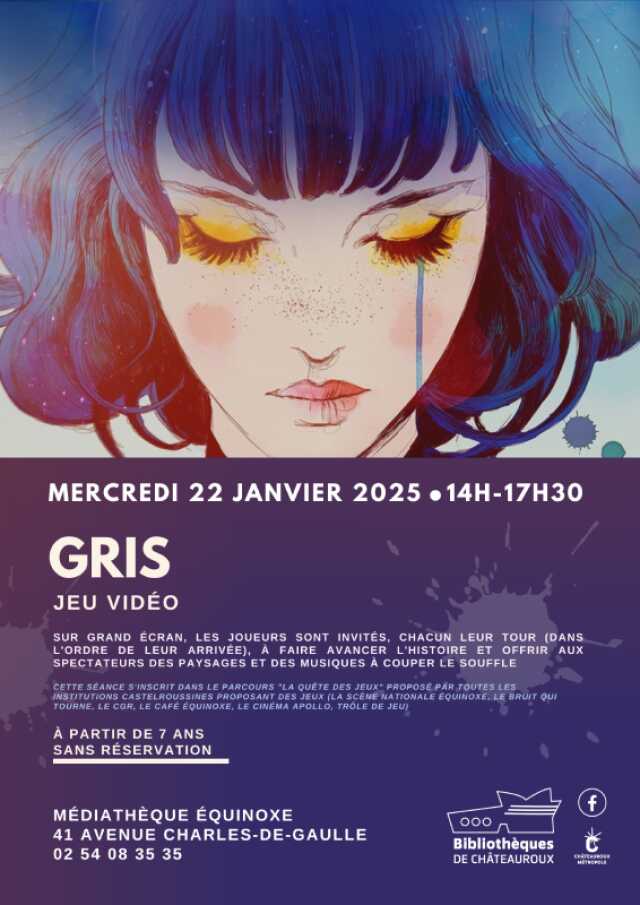 Jeu Vidéo : Gris