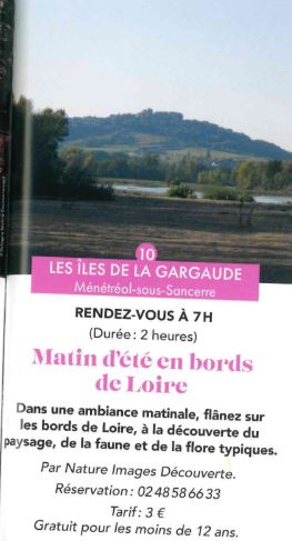 Matin d'été en bords de Loire