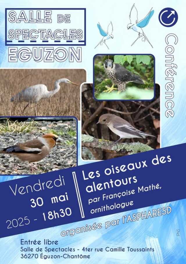 Conférence « Les oiseaux du Sud de l’Indre »