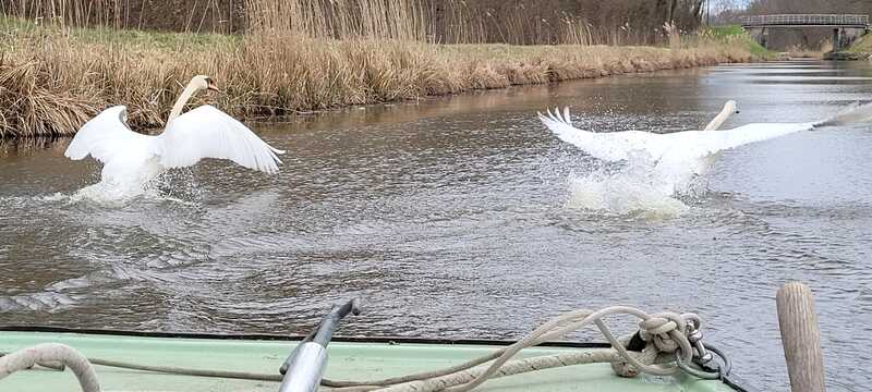 Balades commentées en bateau électrique NOUVEAU ET INSOLITE