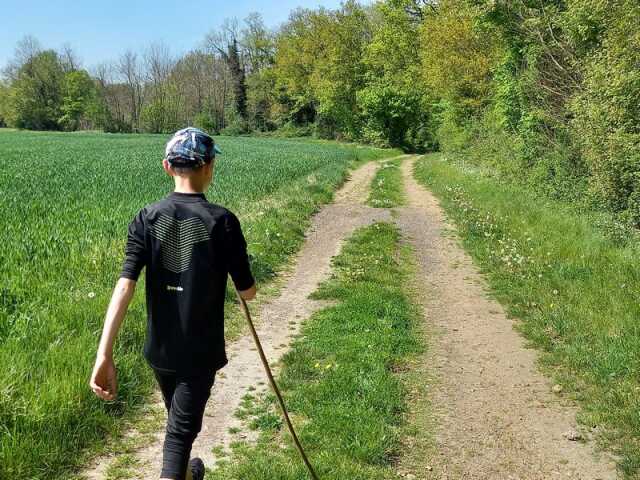 Randonnée pédestre des blés à Selommes