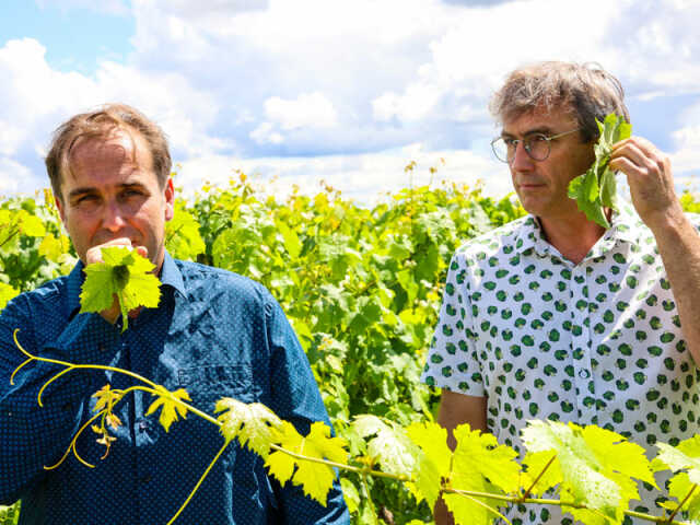 Festival à la maison, portes ouvertes