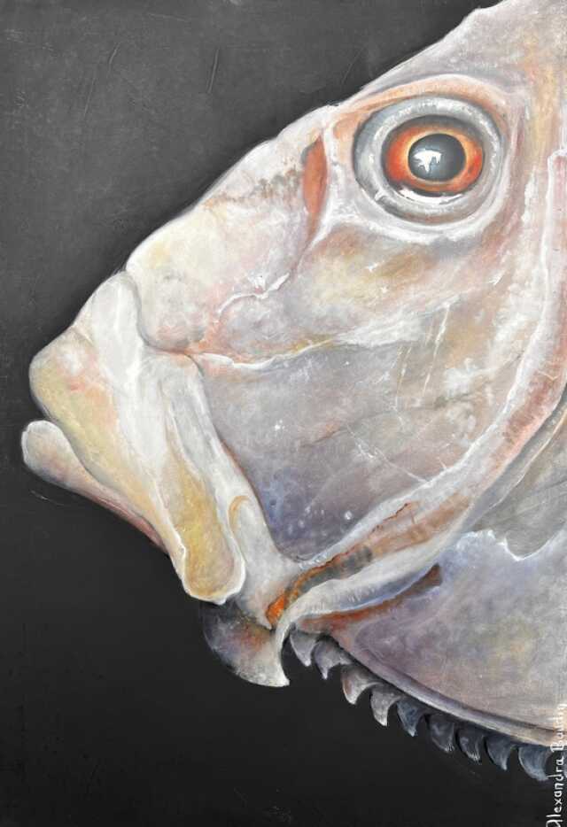 Exposition à la Maison de Loire : Harmonie sauvage