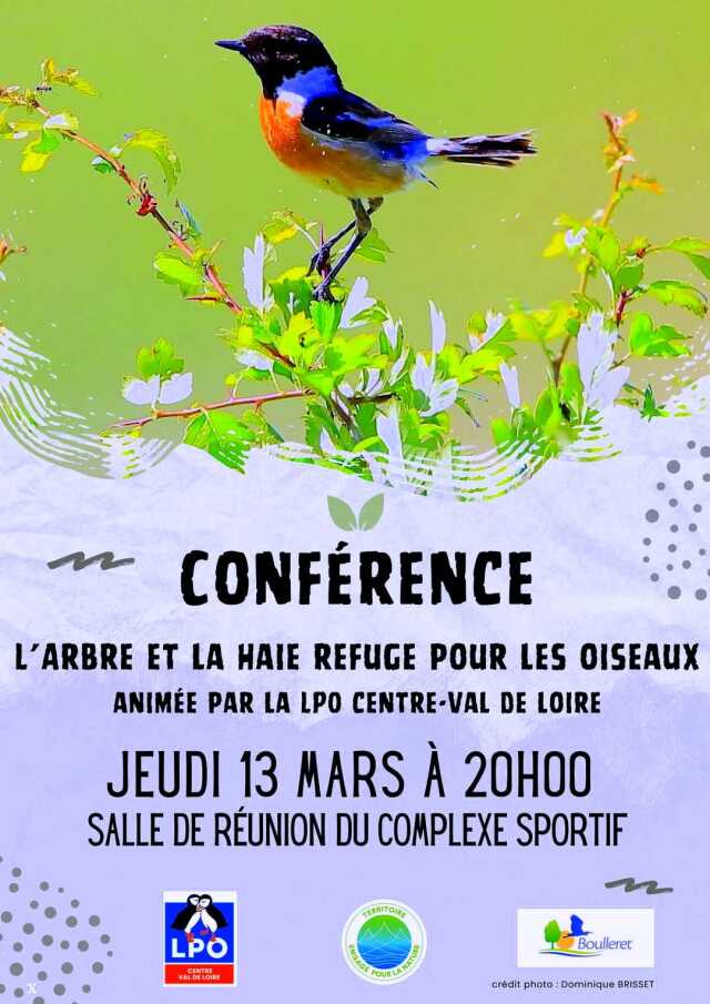 [Conférence] L'Arbre et la Haie, refuge pour les oiseaux