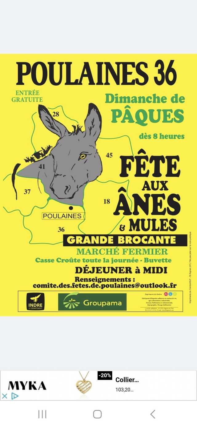 Fête aux ânes et aux mules