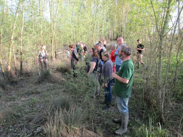 Sortie sur la loutre dans la vallée de la Veude de Poncay