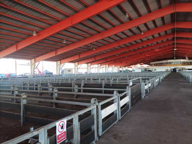 Marché aux bestiaux - Les Grivelles