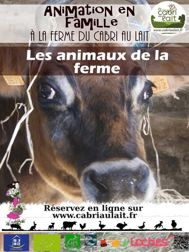 Atelier découverte : Les animaux de la ferme