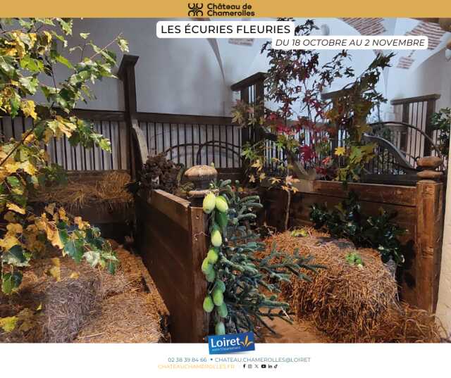 Les écuries fleuries - décoration