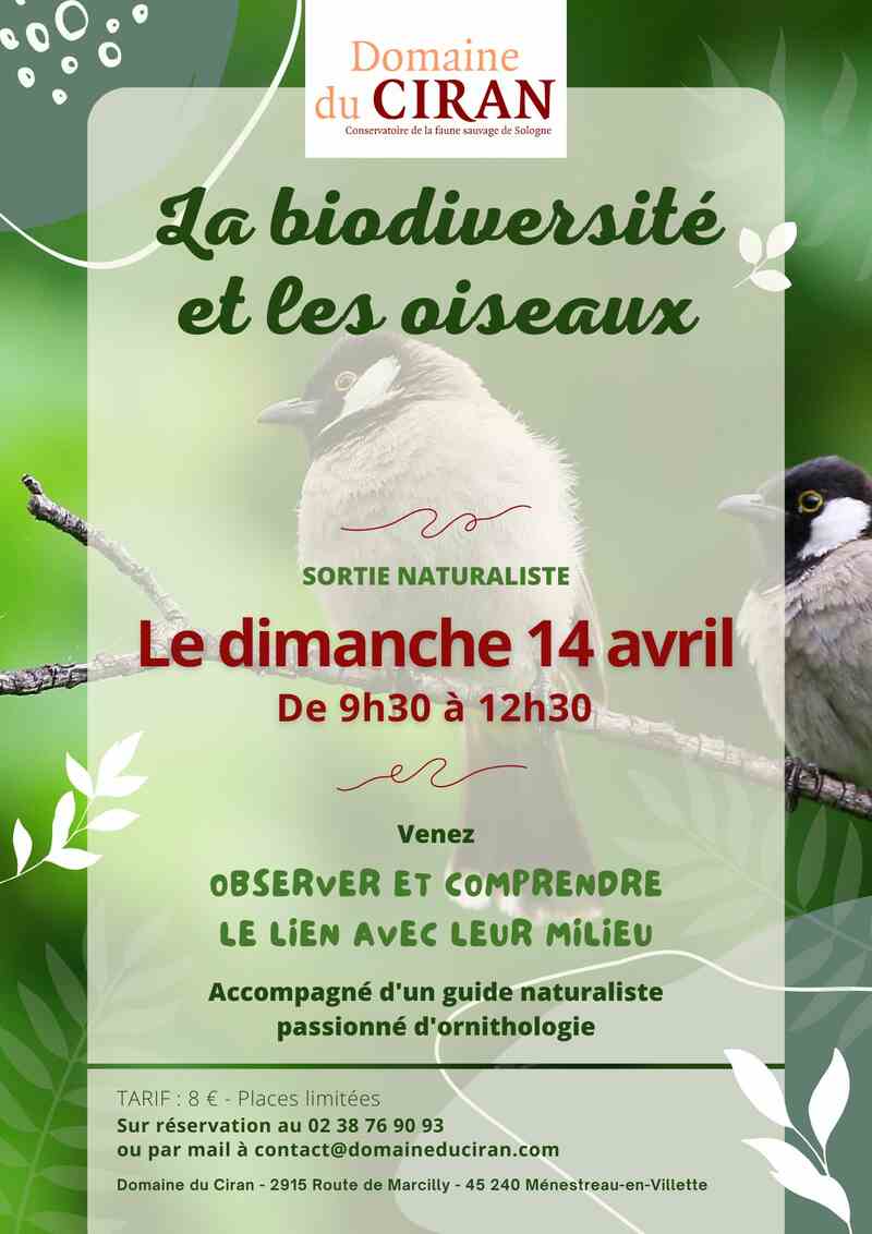 La biodiversité et les oiseaux