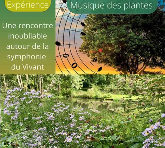 La musique des plantes au coeur de La Vallée de Courtineau